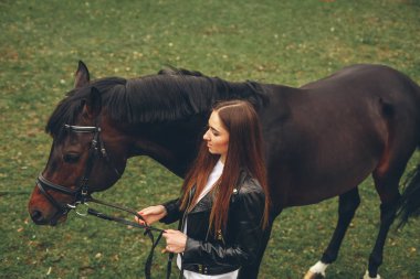 Güzel kız parkta bir at ile iletişim kurar