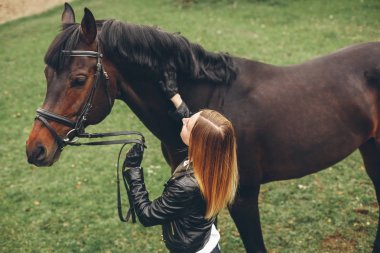 Güzel kız parkta bir at ile iletişim kurar