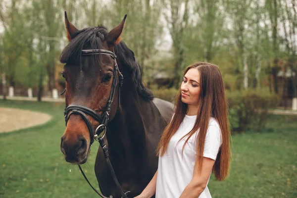 Menina bonita se comunica com um cavalo no parque — Fotografia de Stock