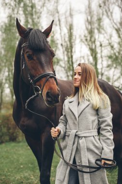Güzel kız parkta bir at ile iletişim kurar