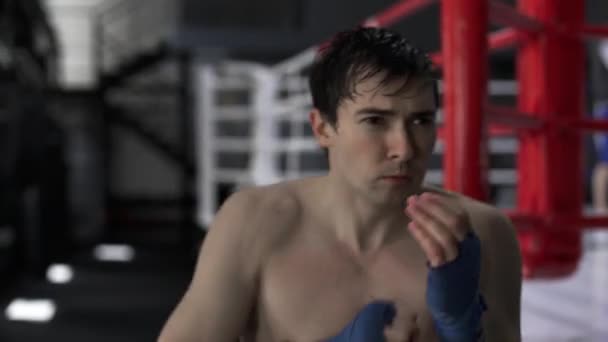 Entrenamiento de boxeador fuerte joven en un gimnasio — Vídeo de stock