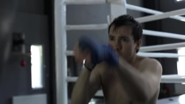 Bolso de entrenamiento boxeador masculino en gimnasio de boxeo — Vídeos de Stock