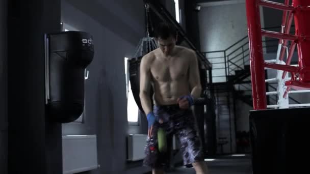 Boxer trainiert Koordination mit Tennisball — Stockvideo