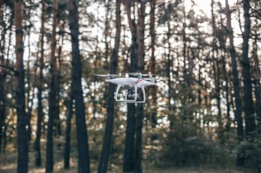 Vurgulama dron ormanda fotoğraf çekmek