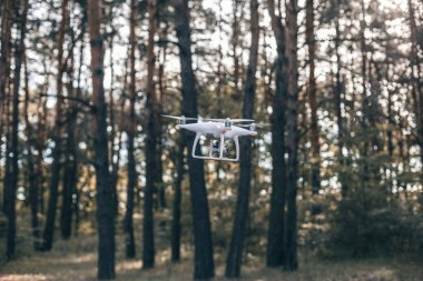 Bir yaz orman arka karşı uçak uçar