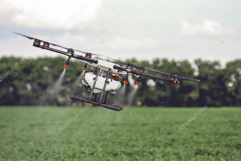 Agriculture drone fly to sprayed fertilizer on the rice fields.