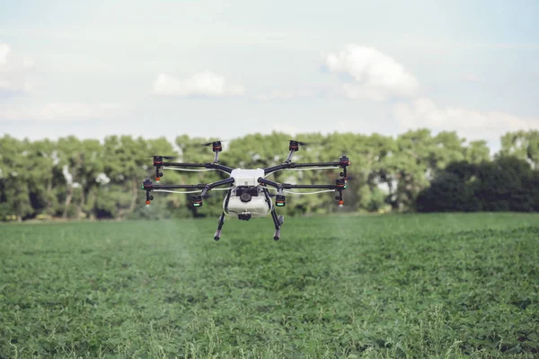 Drones sproeien van pesticiden om te groeien aardappelen. — Stockfoto