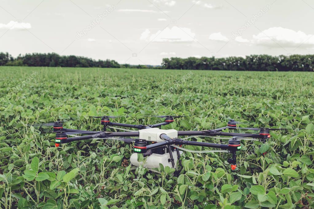 Professional agriculture drone stands on the ground green field.