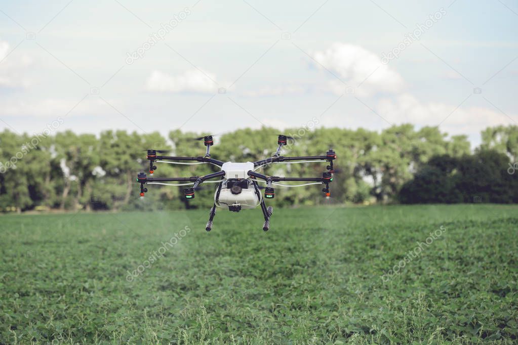 Drones spraying pesticides to grow potatoes.