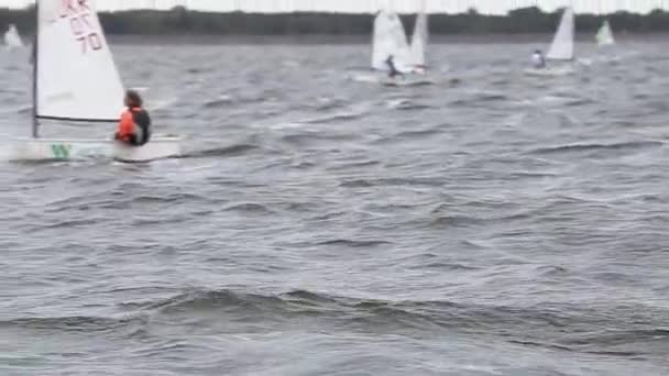 Vushgorod, Kiev, Ucrânia, 15 de setembro de 2017: Campeonato Internacional de Vela da Ucrânia — Vídeo de Stock