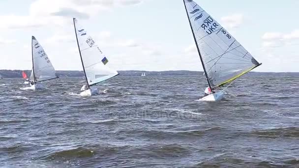 Vushgorod, Kiev, Ucraina, 15 settembre 2017: Campionato Internazionale di Vela dell'Ucraina — Video Stock