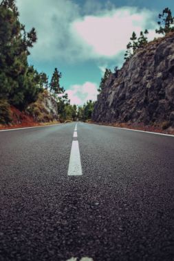 Güzel manzara ile yaz ormandaki asfalt yol
