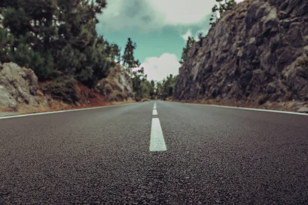 Camino de asfalto en el bosque de verano con hermoso paisaje —  Fotos de Stock