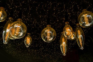 Antika Edison Lightbulbs