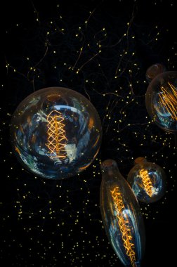 Antika Edison Lightbulbs