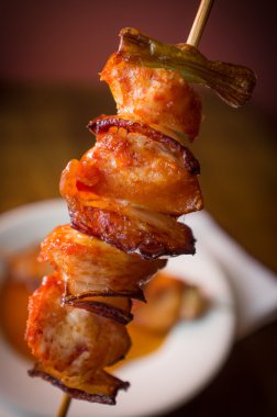 Yakitori Japon kebap