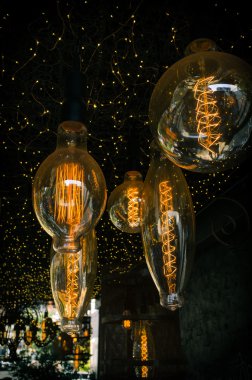 Antika Edison Lightbulbs