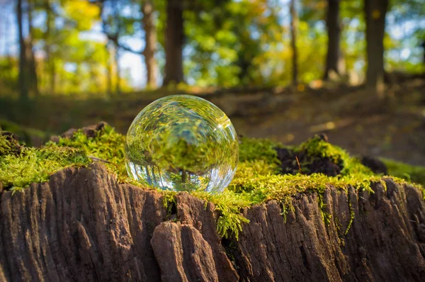 Bola de cristal natureza — Fotografia de Stock