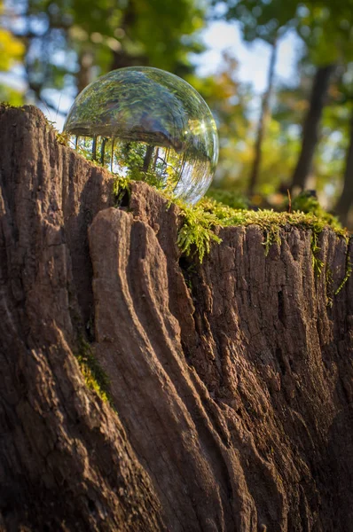 Bola de cristal Naturaleza — Foto de Stock