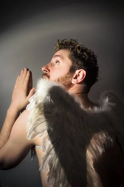 Bearded Angel Wings — Stock Photo, Image