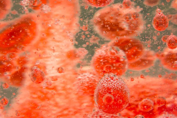 Kırmızı Kan Hücreleri — Stok fotoğraf