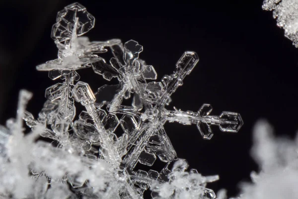 特写宏雪花 — 图库照片