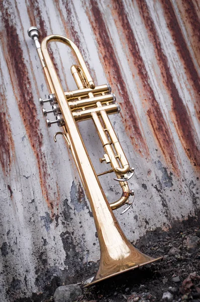 Kerítés rozsdás trombita — Stock Fotó