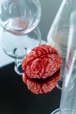 Bilim Laboratuvarı İnsan Beyni