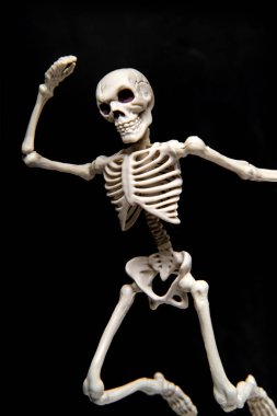 iskelet dansıesqueleto bailando