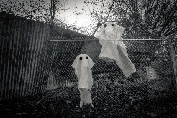 Fantasmas espeluznantes de Halloween —  Fotos de Stock