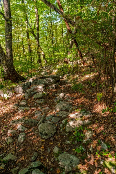 Trilha de natureza outono — Fotografia de Stock