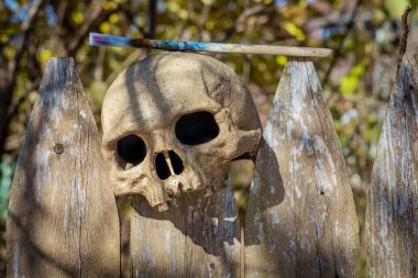 Kafatası Aç Sanatçı Paintbrush