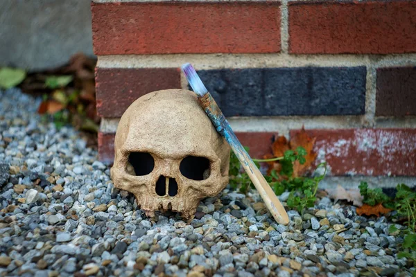 Skull esfomeado Artista Pincel — Fotografia de Stock