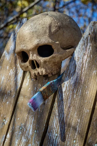 Skull esfomeado Artista Pincel — Fotografia de Stock
