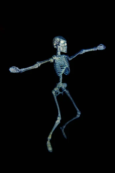 Танцующий скелет X-ray — стоковое фото