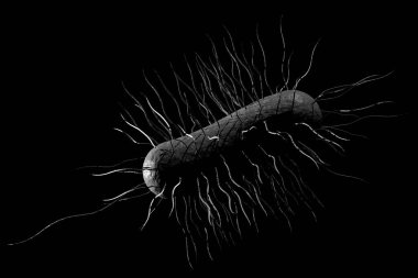 Escherichia coli ayrıca sağlık bilimi arka plan 3d illüstrasyon Ecoli bakteri olarak bilinen