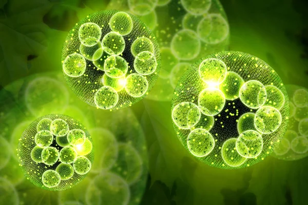 Yeşil Tek Hücreli Klorella Algleri Mikroskobik Kavramsal Boyutlu Resimleme — Stok fotoğraf