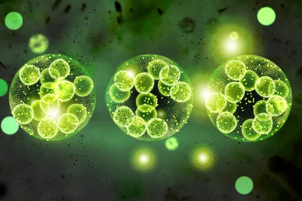 Green Single Cell Chlorella Algae Microscopic Conceptual Illustration — Stock Photo, Image