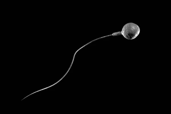 Swimming Sperm Race Impregnate Fertile Human Egg Digital Illustration — Stock Photo, Image