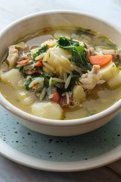 Cold cure winter chicken noodle soup with orzo and vegetables
