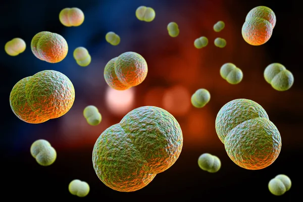 Microscopio Primer Plano Bacteria Meningitis También Conocido Como Meningococo Ilustración —  Fotos de Stock