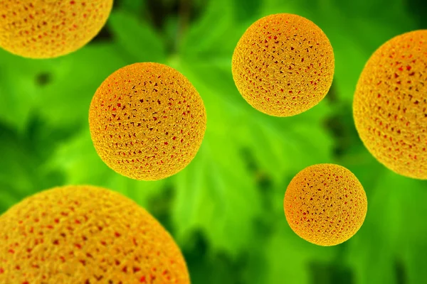 Närbild Blomma Pollen Korn Partiklar För Användning För Allergi Bakgrund — Stockfoto