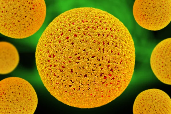 Closeup Virág Pollen Szemcsék Használatra Allergia Háttér Illusztráció — Stock Fotó