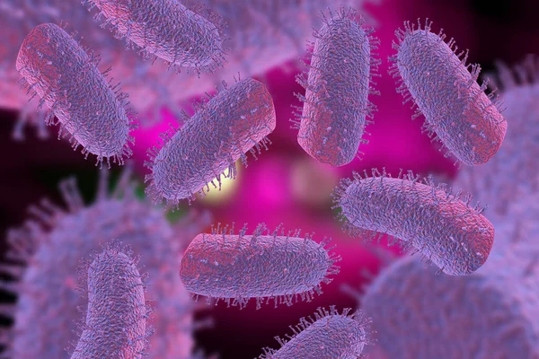 광견병 바이러스 삽화가 — 스톡 사진