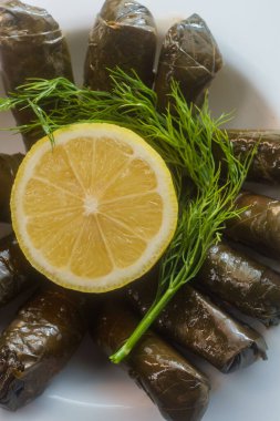 Ermeni yaprak dolma, limon ve taze dereotla süslenmiş üzüm yaprakları. 
