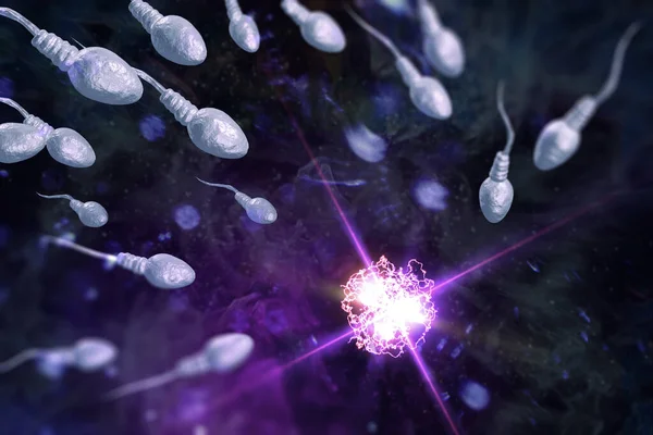 Doğurgan Bir Insan Yumurtasını Boyutlu Dijital Resimle Döllemek Için Sperm — Stok fotoğraf