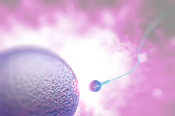 肥沃な人間の卵を含浸させるために精子のレースを泳ぐ3Dデジタルイラスト — ストック写真