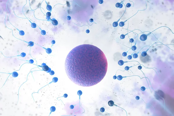 Плавание Расы Сперматозоидов Оплодотворения Плодородной Человеческой Яйцеклетки Цифровая Иллюстрация — стоковое фото