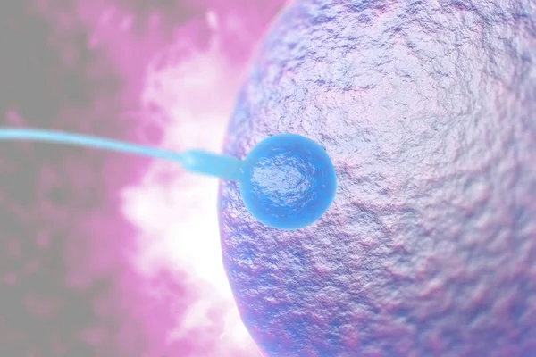 Natação Esperma Raça Para Engravidar Óvulo Humano Fértil Ilustração Digital — Fotografia de Stock