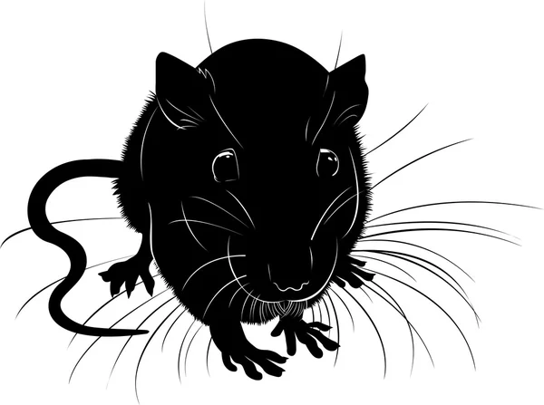 Ratten. ratten dierlijke vector zwarte silhouet op een witte achtergrond — Stockvector